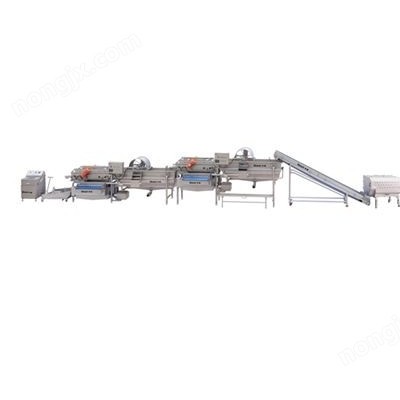 葉菜加工生產(chǎn)線