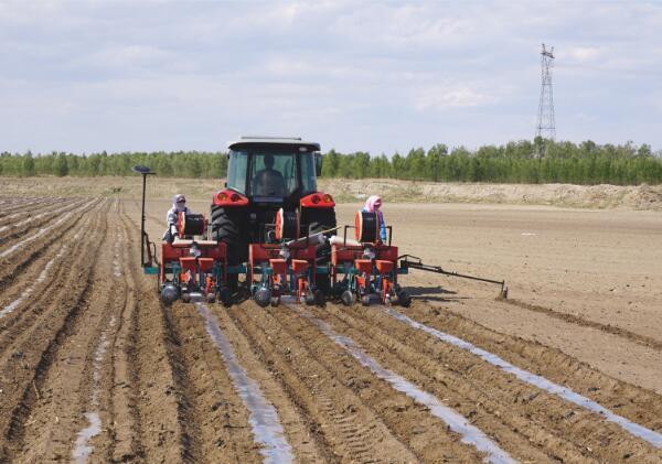 大博2BQP-6氣吸式精量鋪膜點播機