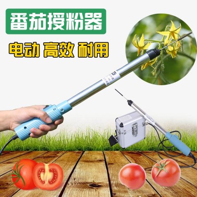 前窗番茄小西紅柿電動授粉器震動授粉機器小柿子點花機點花器