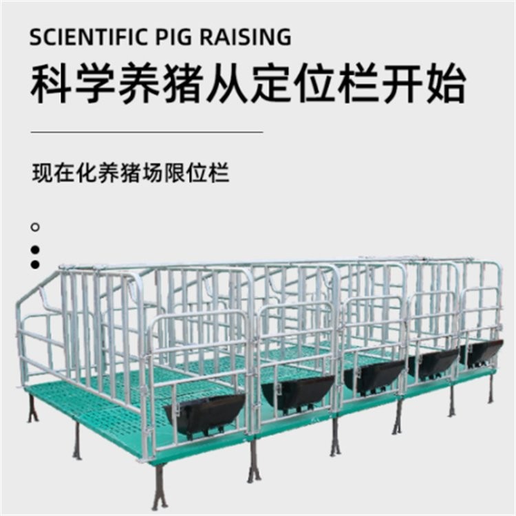 復(fù)合板限位欄 熱鍍鋅母豬定位欄 落地式限位 欄
