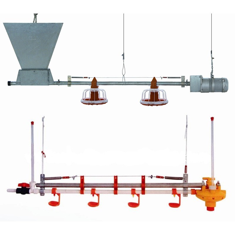 自動料線 雞舍養雞料線 養雞自動料線 肉雞養殖設備 平養雞料線
