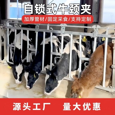 養牛廠自鎖式牛頸枷單雙開活位奶牛場設備牧場加厚熱鍍鋅牛頸夾