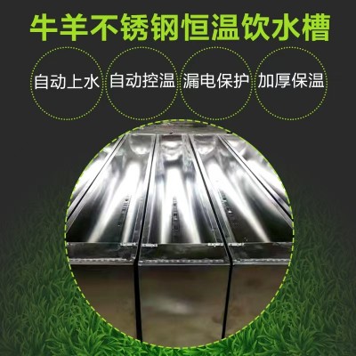牛羊養(yǎng)殖場(chǎng)不銹鋼恒溫飲水槽 自動(dòng)加水飲水器