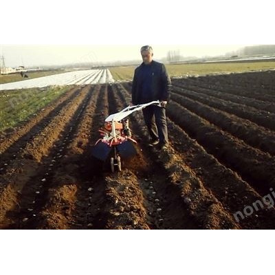 土豆開溝起壟機(jī)
