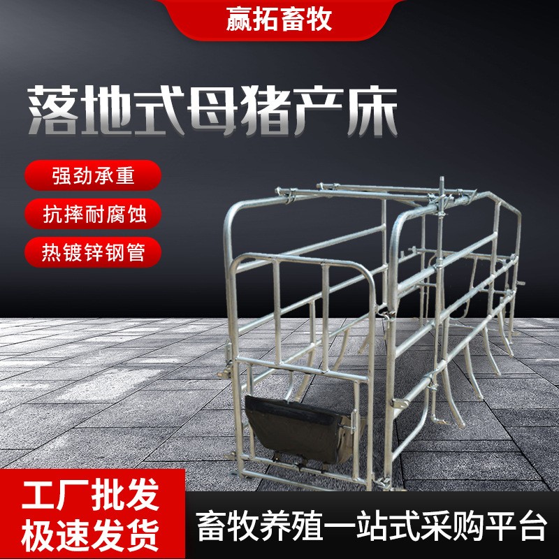 廠家批發落地式母豬產床產保兩用落地式單體豬用設備母豬分娩床