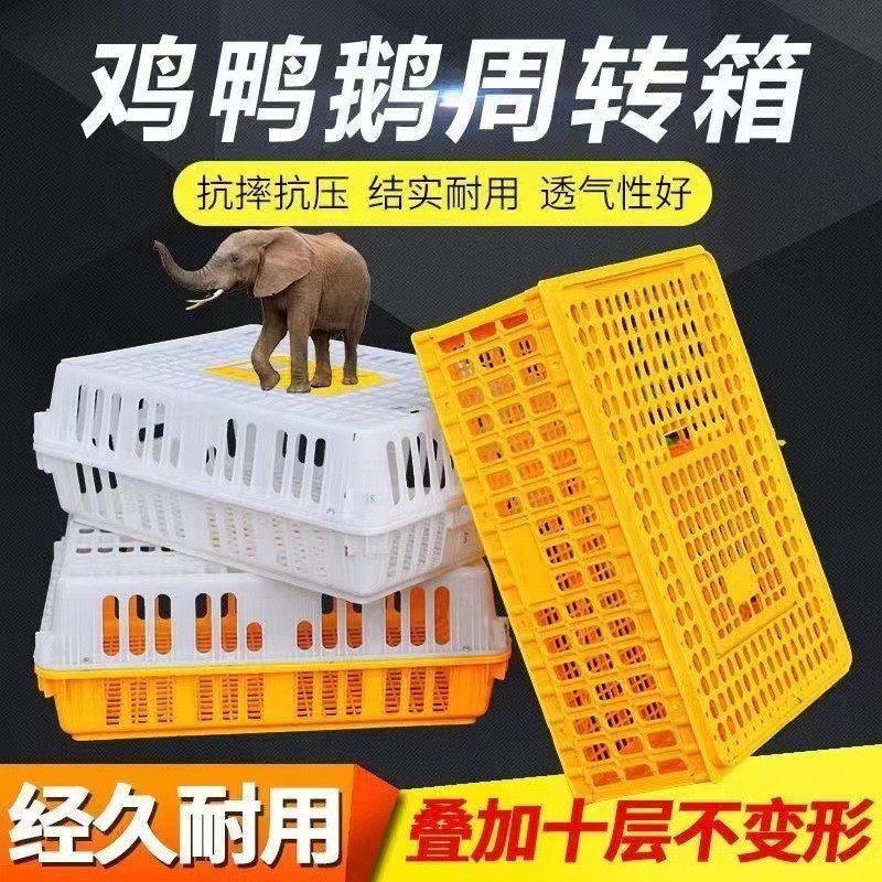 養殖場雞框運輸塑料家禽周轉箱筐成雞鴨鴿字周轉箱家用加厚雞框