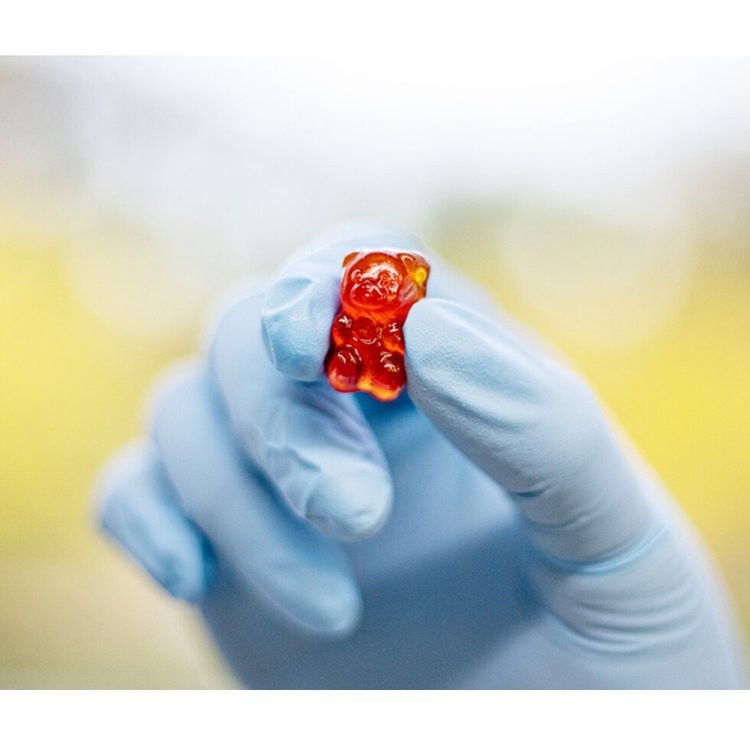 27KW大功率糖果生產線 熬糖澆注多功能一體機 高效生產150kg/h 27KW大功率糖果生產線 熬糖澆注多功能一體機 高效生產150kg/h