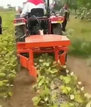 綠豆割曬機視頻2