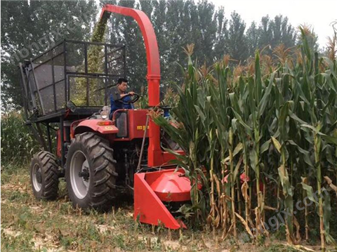 背負(fù)式青儲機(jī)6