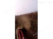 《建國》花生收獲機作業視頻