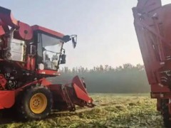 濰坊“三秋”保障、農機作業、烘干點、履帶式收獲機信息一覽