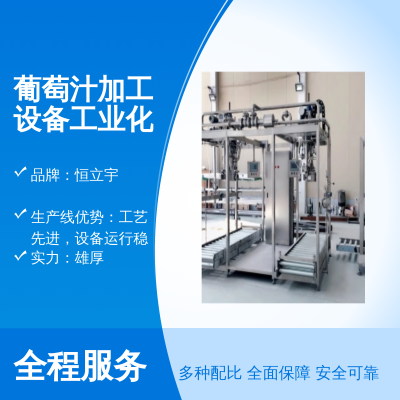 恒立宇 工業化葡萄汁加工設備 飲料 果酒加工 1-5T/H