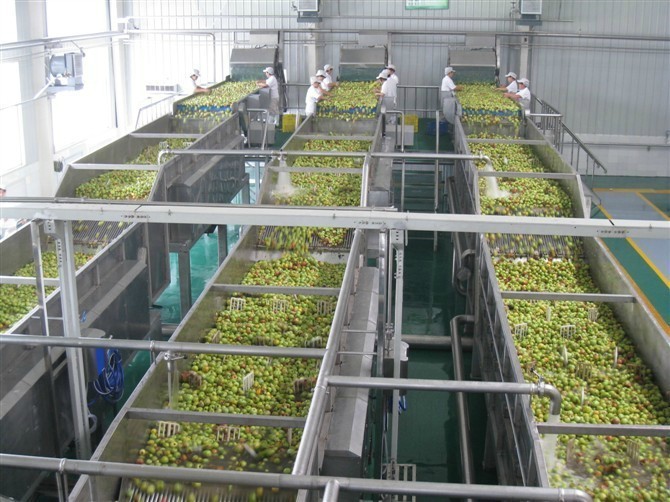 恒立宇 不銹鋼食品級 芒果汁加工設備 原漿生產線 1T-10T/H