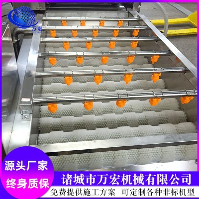 氣泡清洗機 圣女果高壓清洗設(shè)備 水果蔬菜噴淋式清洗機器
