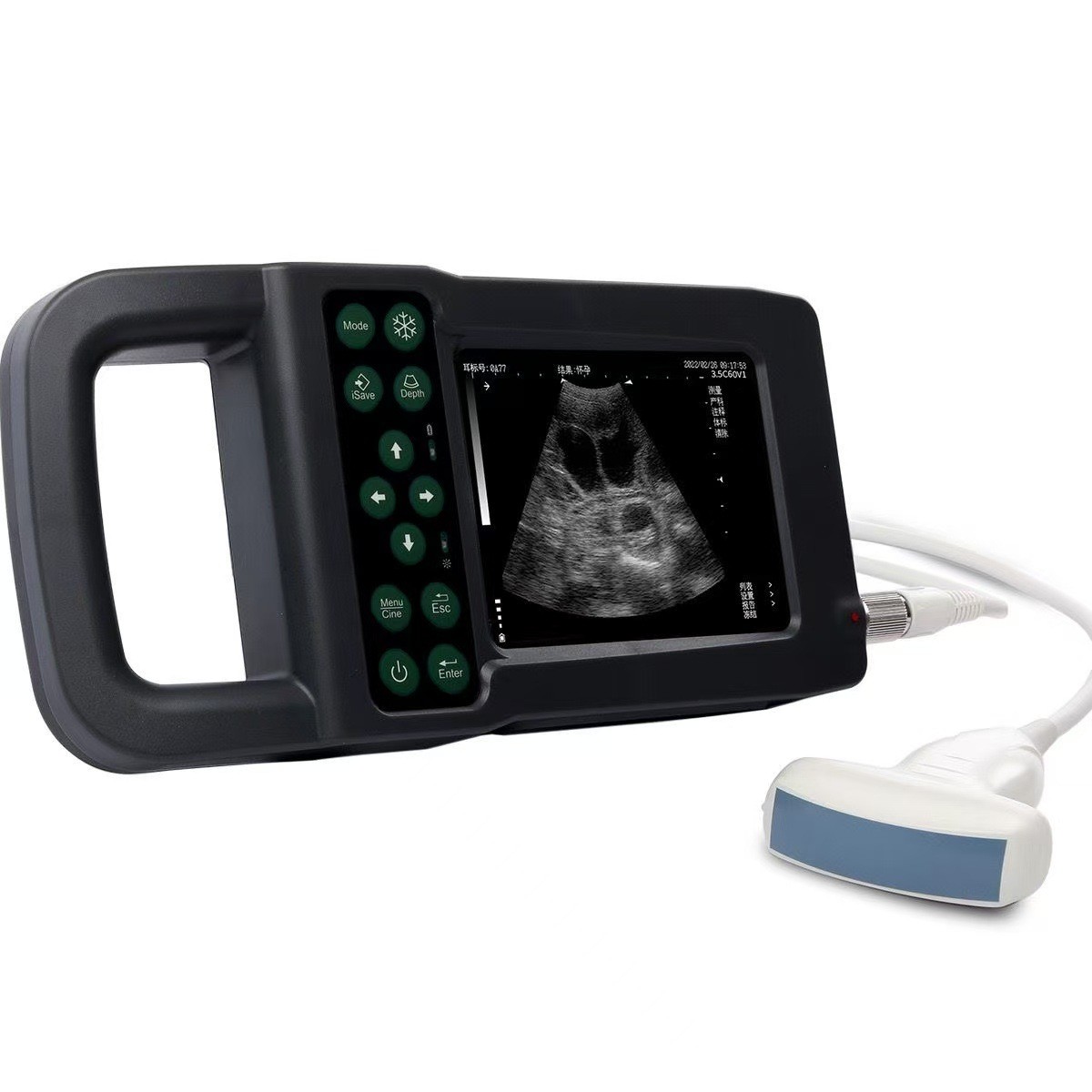 獸用B超機凱信KX5600W背膘測定儀羊孕檢儀便攜式防水母豬用測孕儀