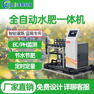 水肥一體機藍莓精量農業全智能果園農田大棚過濾滴噴灌溉 施肥設備