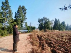 機械化賦能 為糧油產(chǎn)業(yè)發(fā)展注入強勁動力