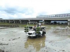 “浙系”農(nóng)機(jī)走出“J型曲線”突出重圍迎來快速增長(zhǎng)期